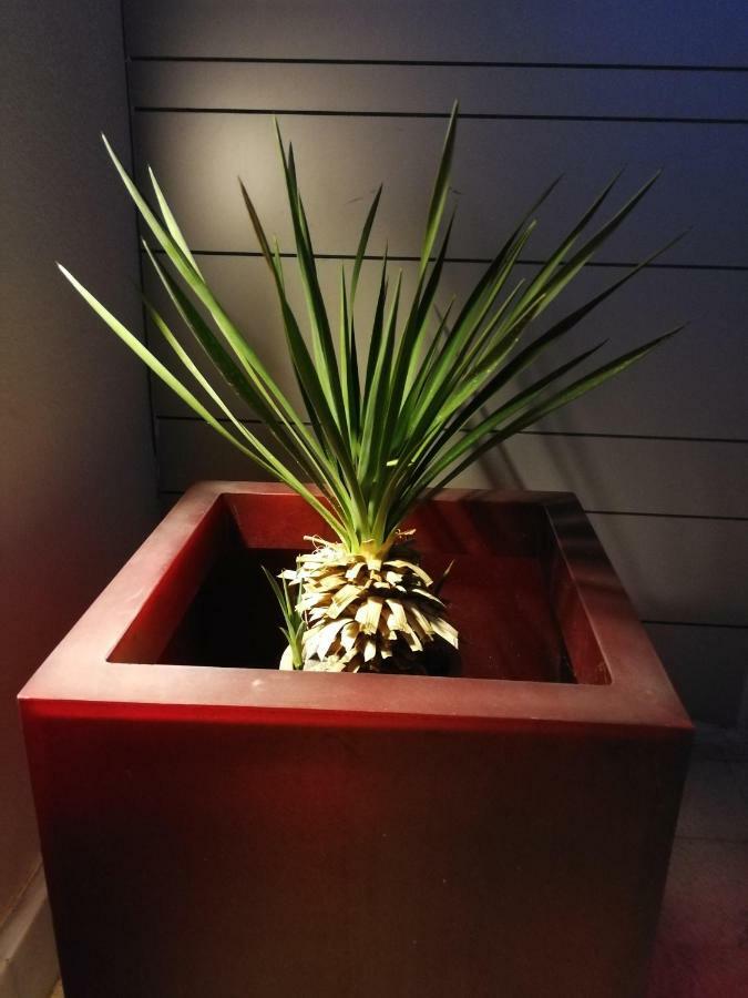 Вілла Casa Euphorbia Лас-Неграс Екстер'єр фото