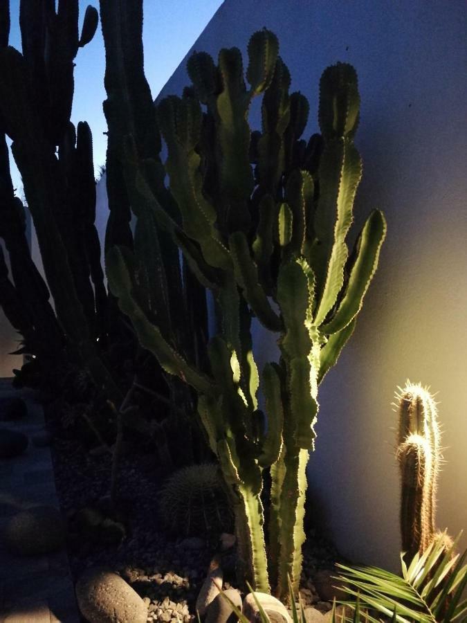 Вілла Casa Euphorbia Лас-Неграс Екстер'єр фото